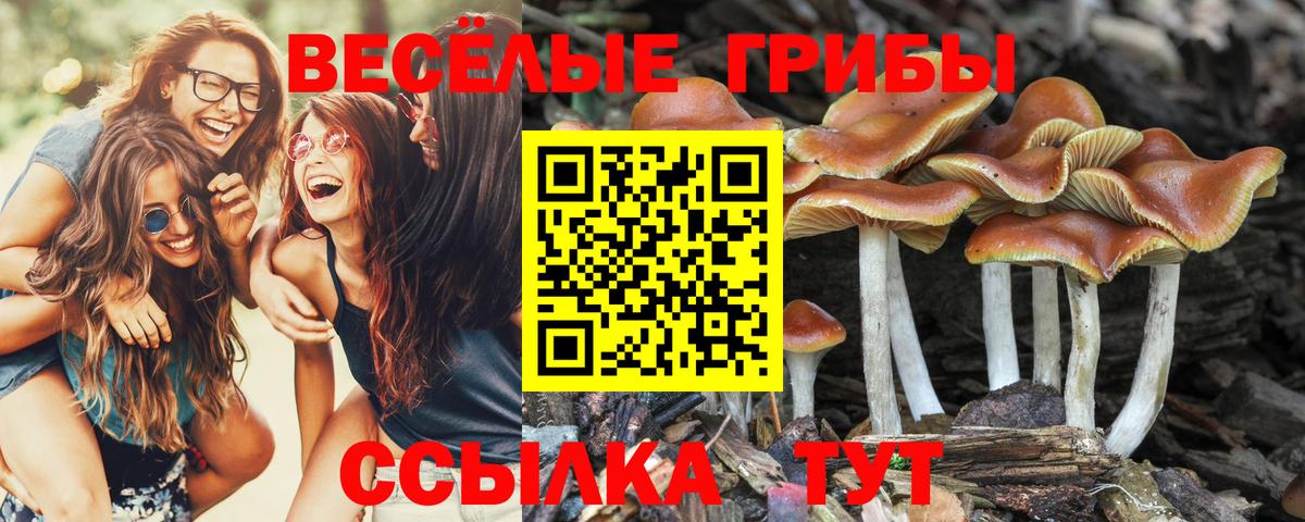 Галлюциногенные грибы MAGIC MUSHROOMS  Вход с VPN  Нижневартовск 