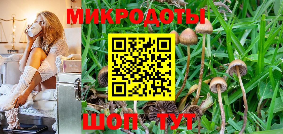 Псилоцибиновые грибы Psilocybine cubensis Нижневартовск